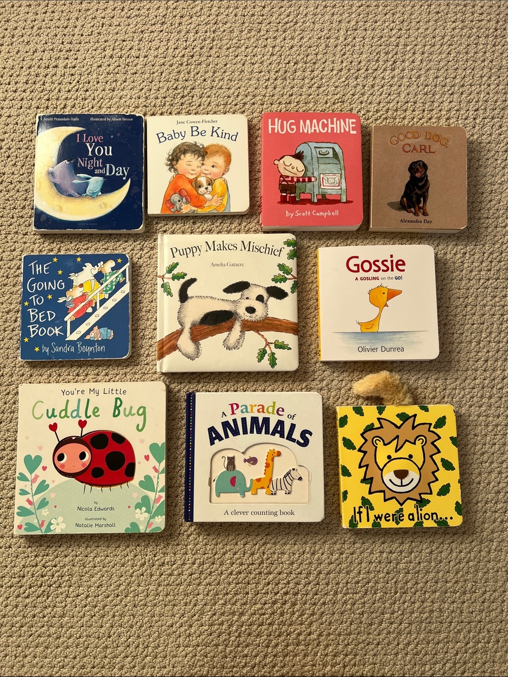 Set of 10 Board Books for Babies and Toddlers